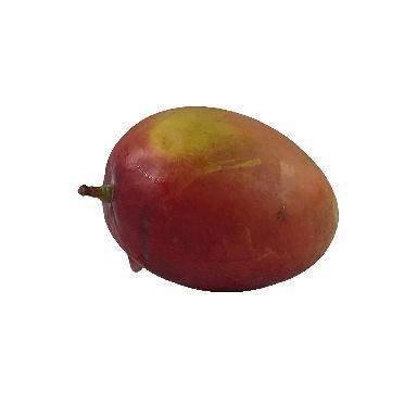 Mangos 10lb [$5.06/kg] [$2.30/lb]