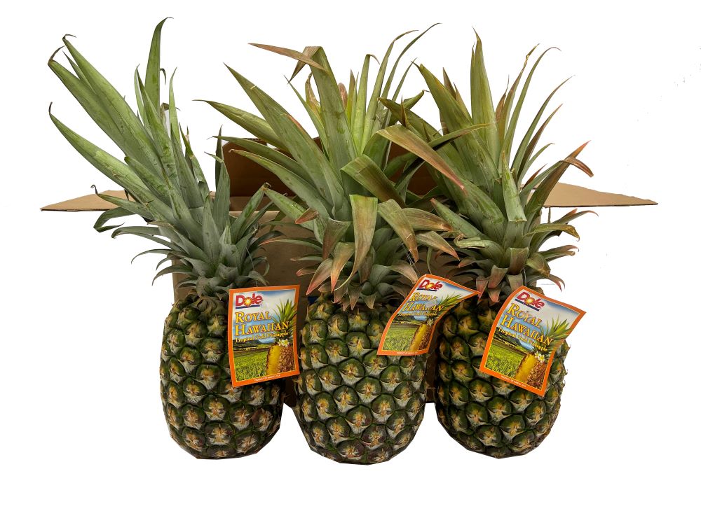 Fresh Pineapples 3ct [$9.99/ea]