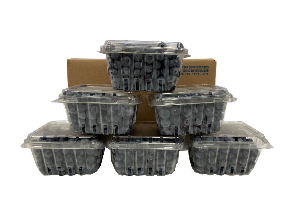 Blueberries 12x6oz [$9.73/ea]