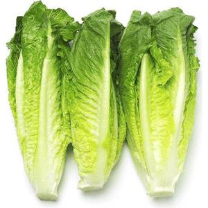 Romaine Hearts 3ct [$1.33/ea]